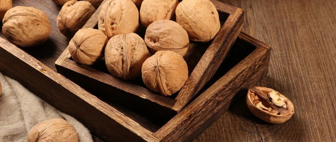 2024 SIAL CUP 咖啡师全能赛圆满收官!冠亚季军揭晓!