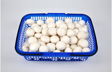 SIAL西雅展(深圳)