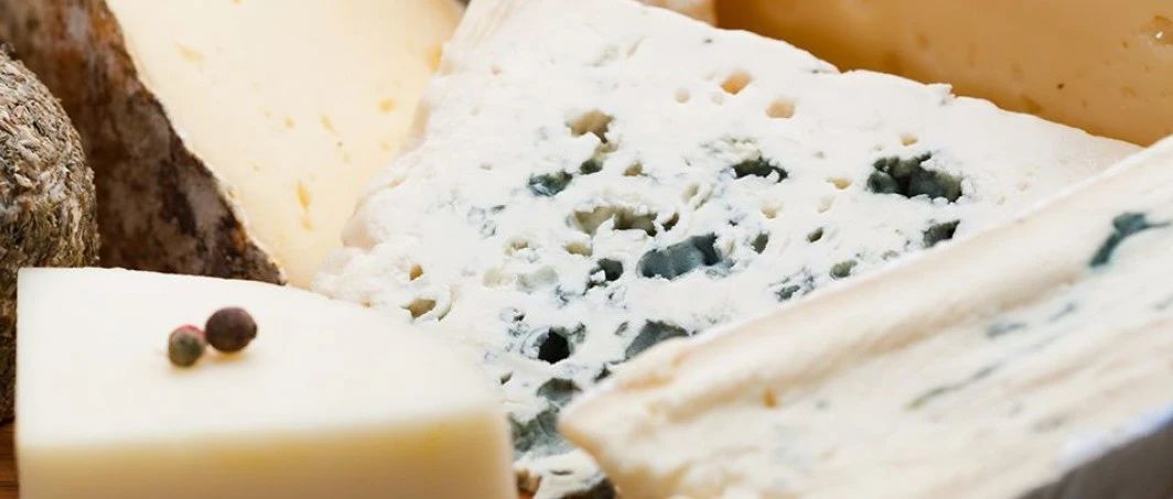 在社媒越来越火的奶酪,未来还能走多远