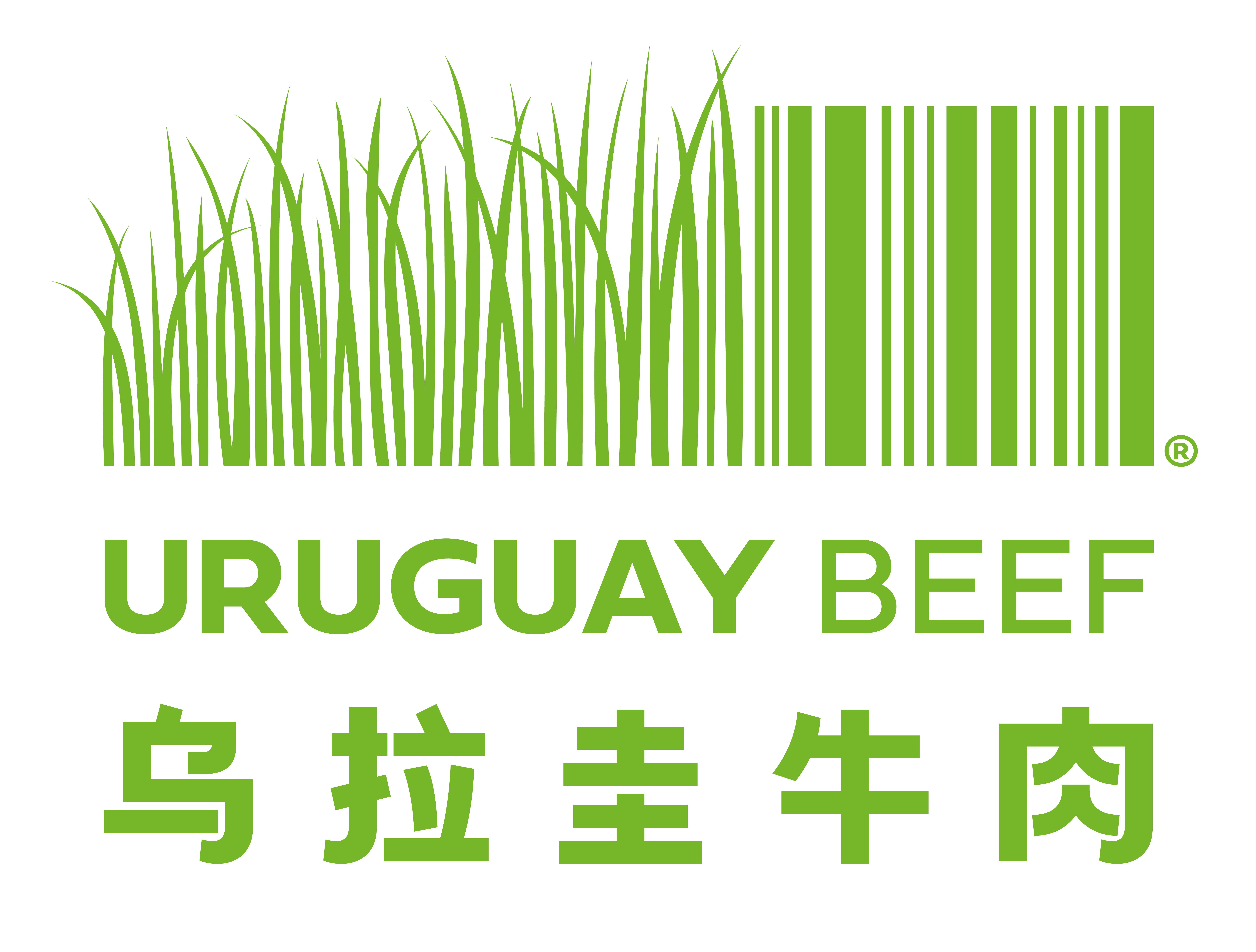 乌拉圭牛肉