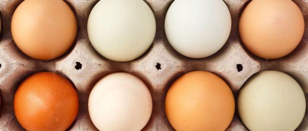 美国鸡蛋有多贵？食品饮料品牌如何应对原料不确定性 | 英敏特洞察